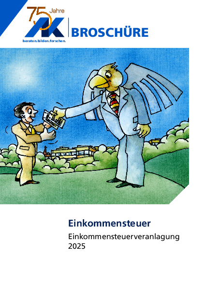 Einkommenssteuer 2025 (PDF barrierefrei) Einkommenssteuer 2025 (PDF barrierefrei) - März 2026